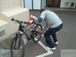 isciu rabotu dolinoboicic... - Грузоперевозки - isciu rabotu v sveicarii