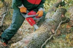 mežstrādnieks skotijā. pieejamas pastāvīgas - англия латвия бус - Требуются