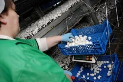 расписание 10а в даугавпилсе по рабочим - Требуются - окончании обучения они