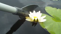 Piedāvājumi - spici - borēju dziļurbumus, artēziskos urbumus,