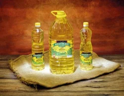 Продам подсолнечное масло оптом ТМ Богатовское золото