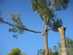 Piedāvājumi - zāles pļaušana, jumtu tīrīšana, teritoriju - очистка крыш