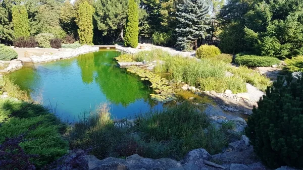 Пруд - BioSwim SIA