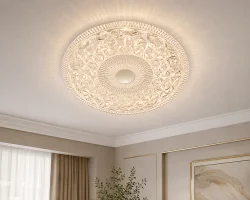 Griestu lampa LED 8264F/24W*2